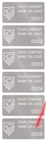 1,000 Silver Matte TamperGuard Tamper Evident Security Label Seal Sticker Non Residue, Rectangle 2" x 1" (51mm x 25mm). Demetalized Laser Customization. >Click on item details to customize it.