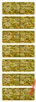1,000 Tamper Evident Holographic Bright Golden Security Label Seal Sticker, Rectangle 2" x 0.75" (51mm x 19mm). Demetalized Laser Customization. >Click on item details to customize it.