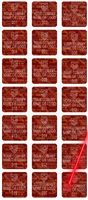 1,000 Tamper Evident Holographic Bright Red Security Label Seal Sticker, Square 0.75" (19mm). Demetalized Laser Customization. >Click on item details to customize it.