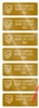10,000 Gold TamperVoidPro Tamper Evident Security Labels Seal Sticker, Rectangle 2" x 0.75" (51mm x 19mm). Demetalized Laser Customization. >Click on item details to customize it.